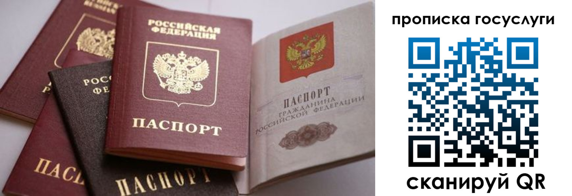 прописка иностранных граждан в Южноуральске